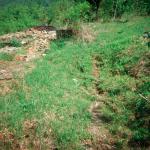 Jasminka S. (2000)  - It is spring again, even if our village is nothing but ruins -  like our house, which has been destroyed down to the foundation walls. Nevertheless I am filled with a very strong wish to return home. 