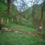 Selma M. (2000)  - This man here lost his son in 1995. Šacir, that is his name, was the first person to return to Srebrenica this year. He wants to be close to his son and prays for him every day. (2005: Šacir is no longer alive.)
