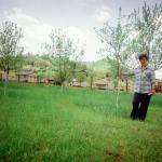 Vojka J.  (2000)  - I planted these fruit trees before the war. 