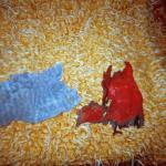 Amela H. (2000)  - Those are remainders of clothing that used to belong to me. They are all that is left. I found them in the ruins of my house.