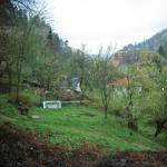 Dubravka M. (2005)  - This is what hurts - ruins and garbage. Immediate neighbours. A sad picture of the courtyard of our former neighbours