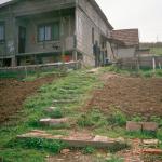 Dada M. (2005)  - It is not big and not pretty, but it is mine and happy! The House.