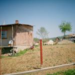 Jasminka S. (2005)  - My house- security!