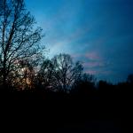 Selma M. (2005)  - Landscape, photographed from my terrace. These pictures are important for me because I am standing right in my own house.