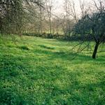 Selma M. (2005)  - Landscape, photographed from my terrace. These pictures are important for me because I am standing right in my own house.