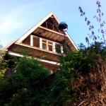 Svetlana J.  (2015)  - This is a picture of the Lovac (Hunter) today. Once it was nicely furnished motel that had rooms with the names of animals, good food, music and a beautiful terrace where mostly young people gathered. 